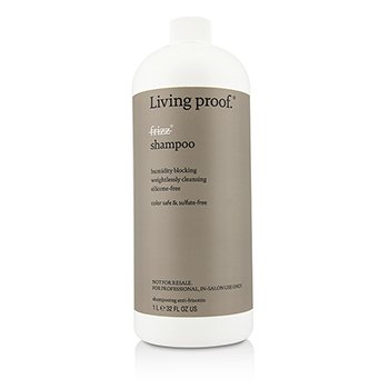 No Frizz Shampoo (Salon Product)