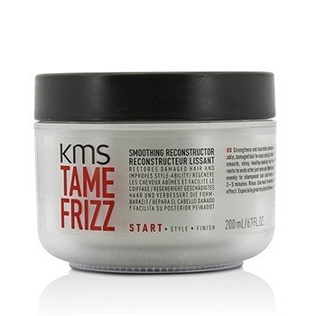 Tame Frizz Smoothing Reconstructor (Restores Damaged Hair and Improves Style-Ability)