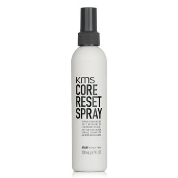 Core Reset Spray (Repair From Inside Out)