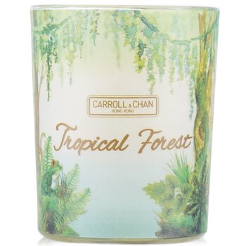 100% Beeswax Votive Candle - Tropical Forest