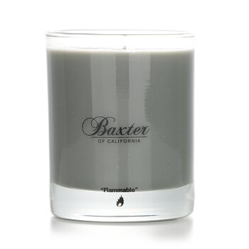 Baxter Of California Scented Candles - Sweet Ash